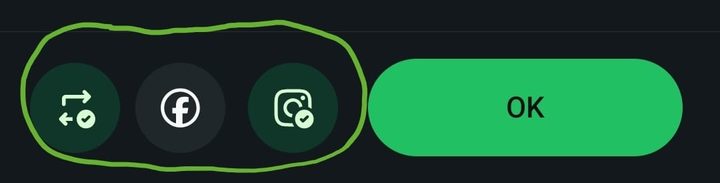 Tela do WhatsApp antes de postar o status, com os ícones de repostar, Facebook e Instagram circulados ao lado do botão OK